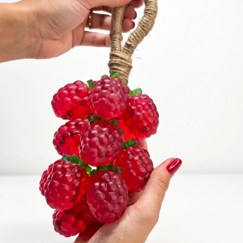 Raspberry Handmade Hanging Soap