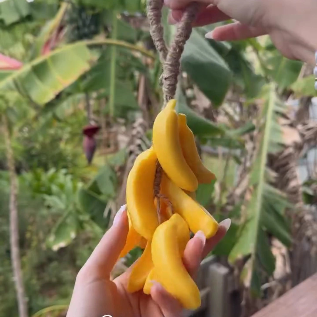 FreshFruit™ Handmade Hanging Soaps - BANANA EDITION