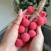 FreshFruit™ Handmade Hanging Soaps - LITCHI EDITION