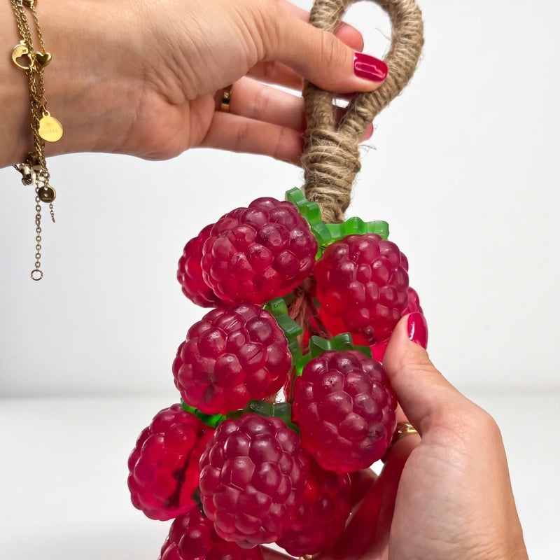Raspberry Handmade Hanging Soap