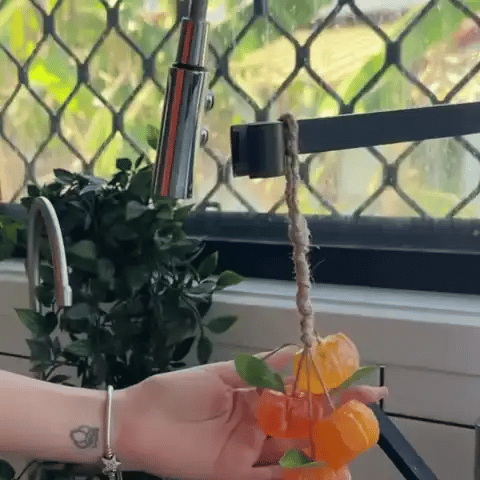 FreshFruit™ Handmade Hanging Soaps